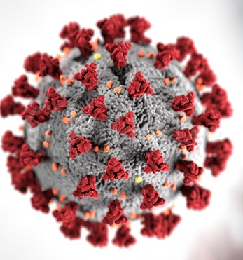 COVID-19 SCREENING PCR TEST(URGENT)